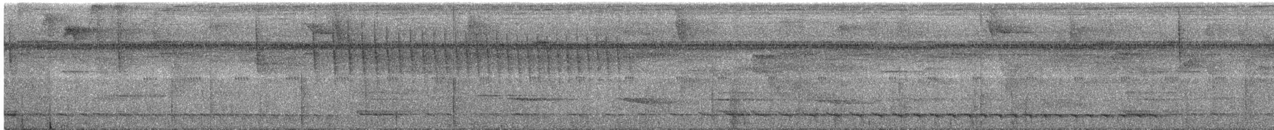 White-tailed Trogon - ML142020471