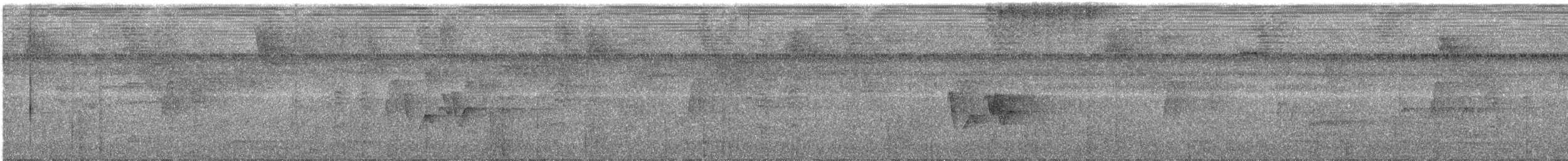 White-tailed Trogon - ML142020611