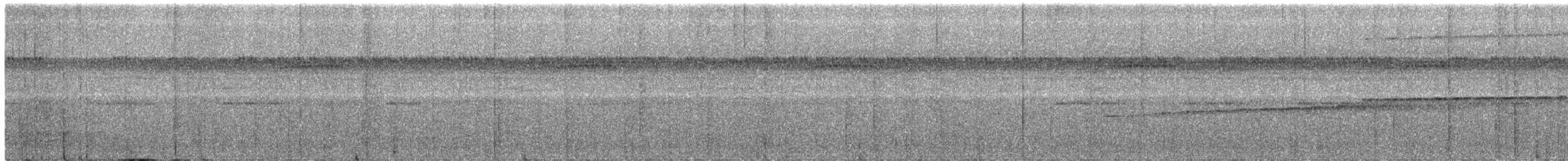 Halsband-Ameisenvogel - ML142062331