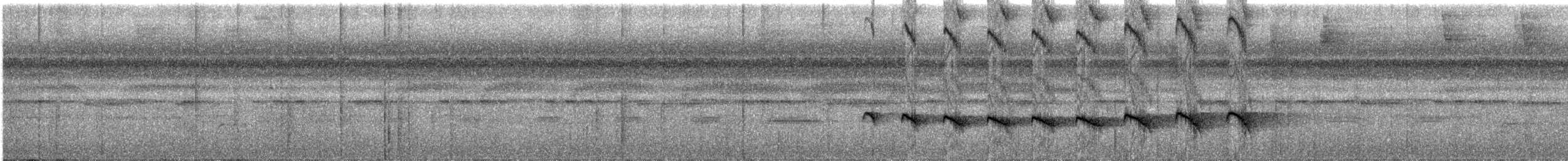 Kurzschwanz-Ameisenvogel - ML142063731