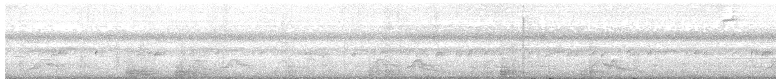 Pauraquenachtschwalbe - ML142086821