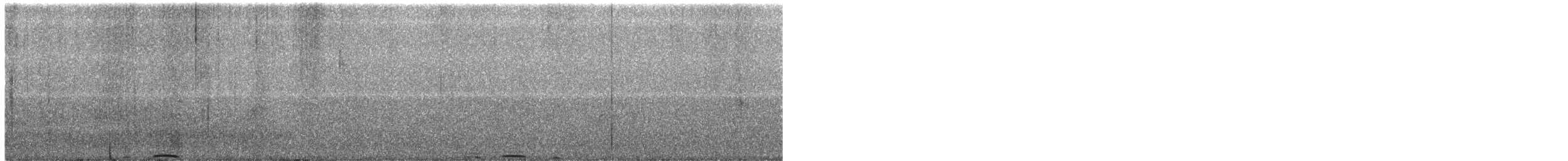 holub bledoprsý - ML142141141
