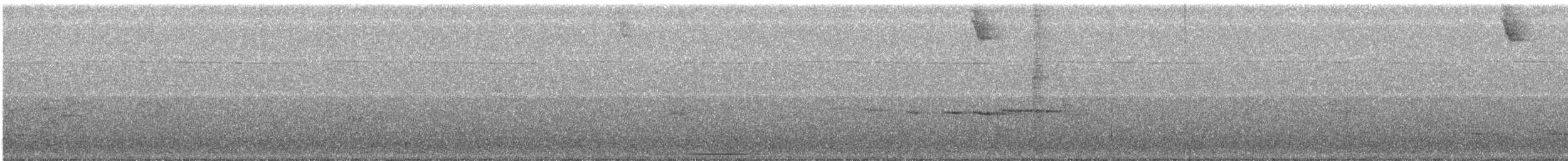 holub bledočelý - ML142147031