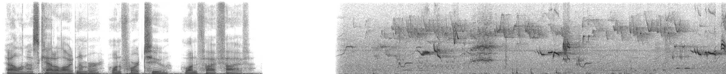 drozd sametový - ML142155