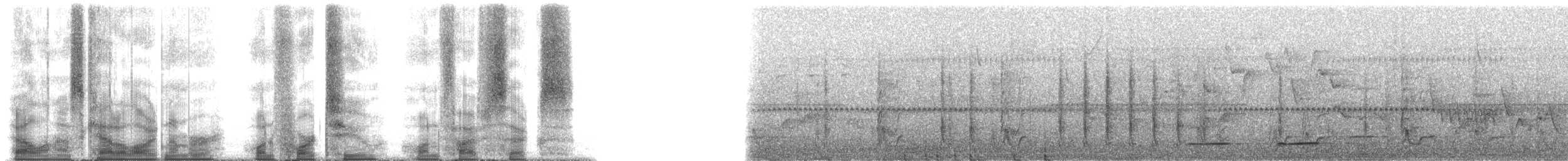 White-throated Antpitta - ML142156