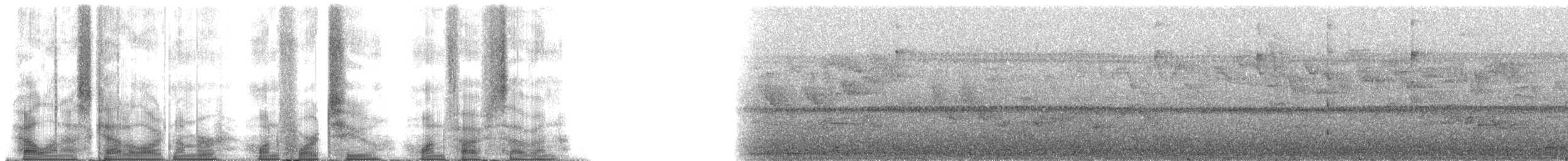 Yungas Tody-Tyrant - ML142157