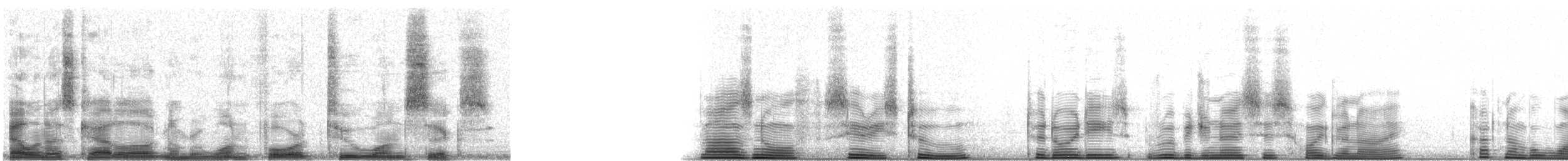 Cratérope rubigineux - ML14216