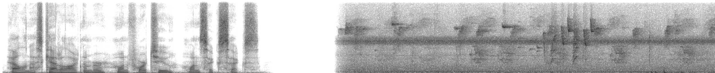 Stripe-chested Antwren - ML142166