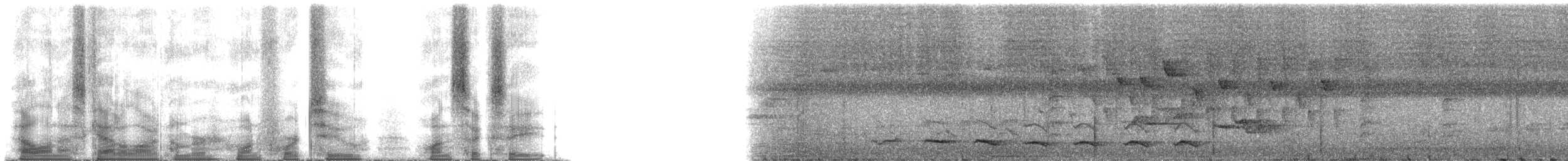 Maskentrogon - ML142168