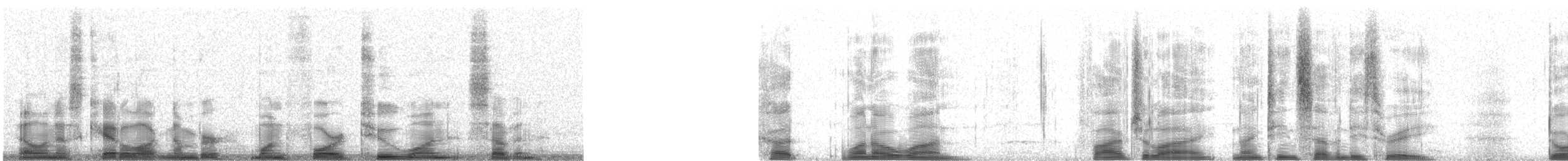 Slender-billed Scimitar-Babbler - ML14217