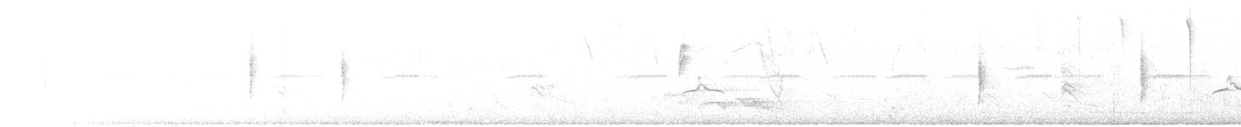 Mourning Warbler - ML142178041