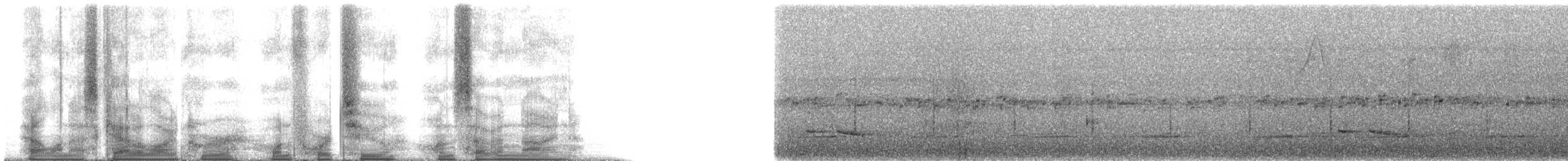 Bolivian Antpitta - ML142179