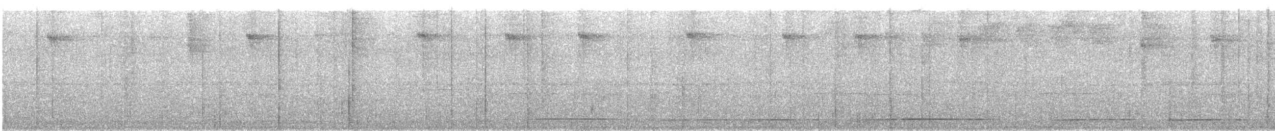 Tinamou noir - ML142295111