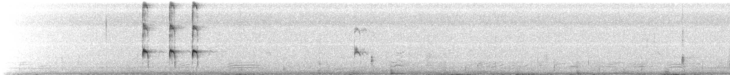 Boat-tailed Grackle (westoni) - ML142320751