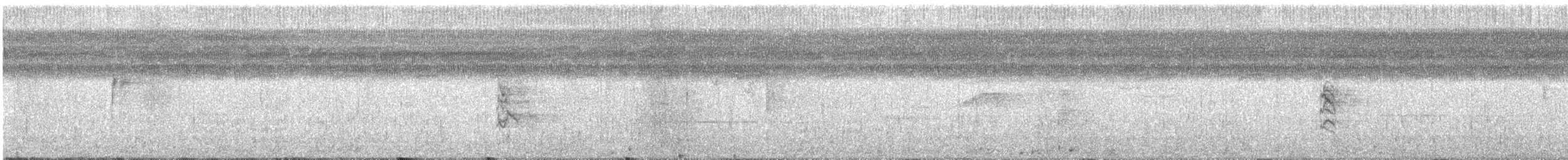 Чёрный просяночник (corvina) - ML142384321