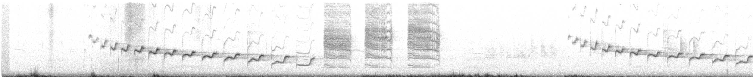 Troglodyte des canyons - ML142417261