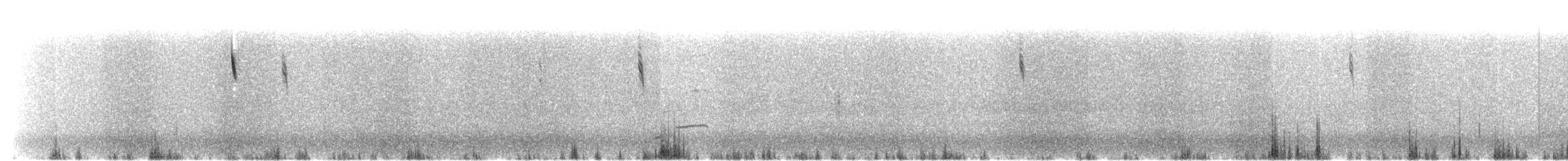 Savannah Serçesi (rostratus/atratus) - ML142526581