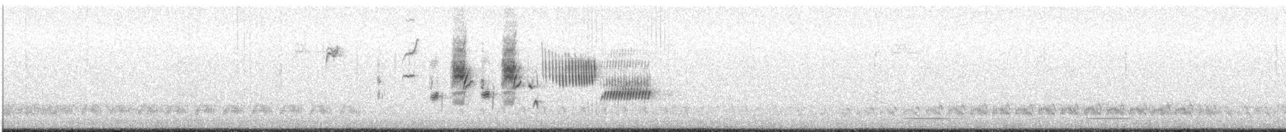 Troglodyte de Bewick - ML142650291