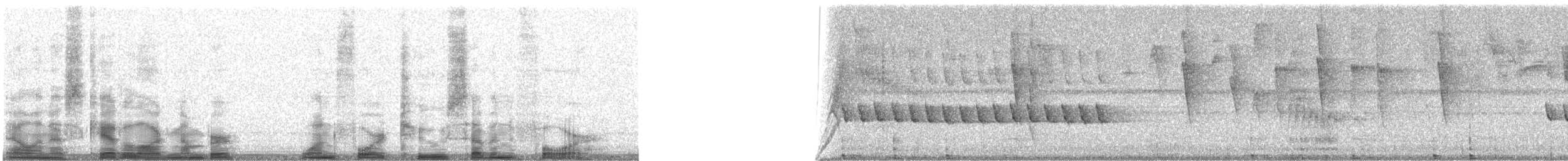 Long-billed Gnatwren (Trilling) - ML14274