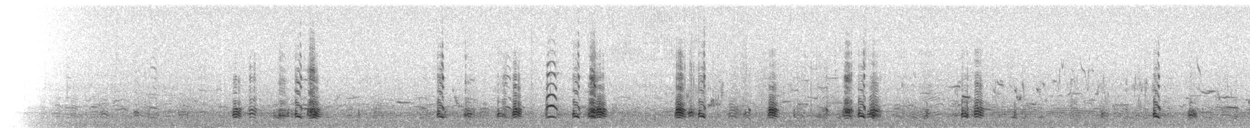 Zwergschneegans - ML142817411