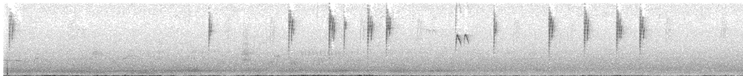 Buztanluze amerikarra - ML142843061