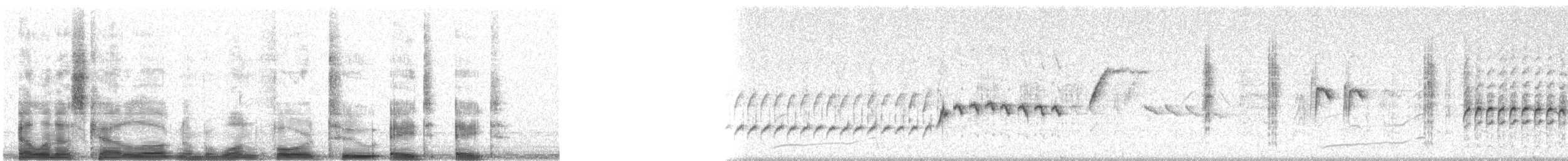 Sedge Warbler - ML14288