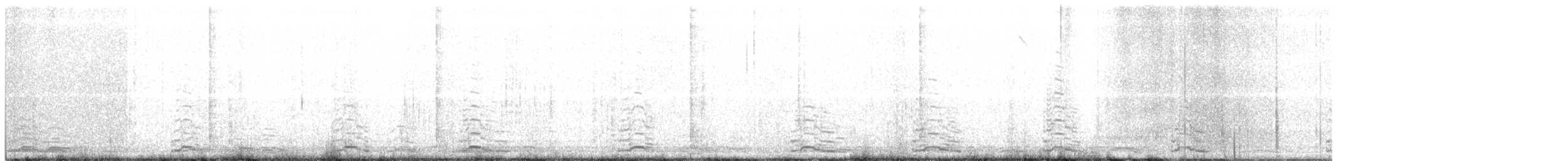 Cygne siffleur - ML143013231