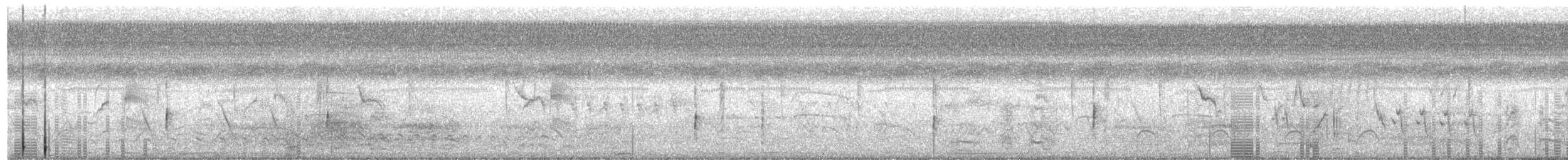 Серогрудый коростелёк - ML143033571