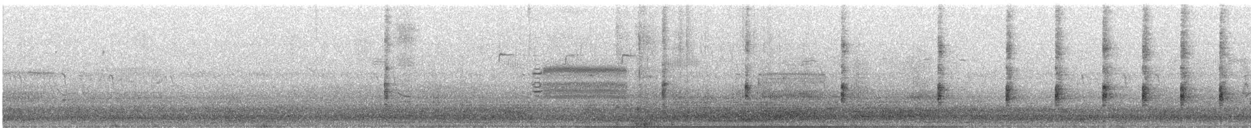 Королевский пастушок - ML143176151