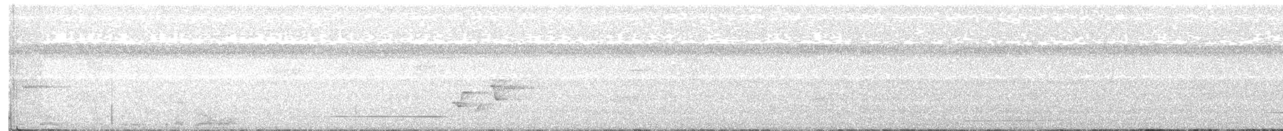 Палауанская широкохвостка - ML143235951