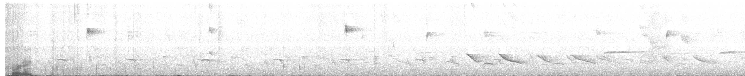 Peruvian Pigeon - ML143246431