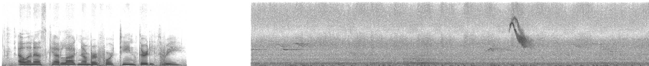 Square-tailed Sawwing - ML1433