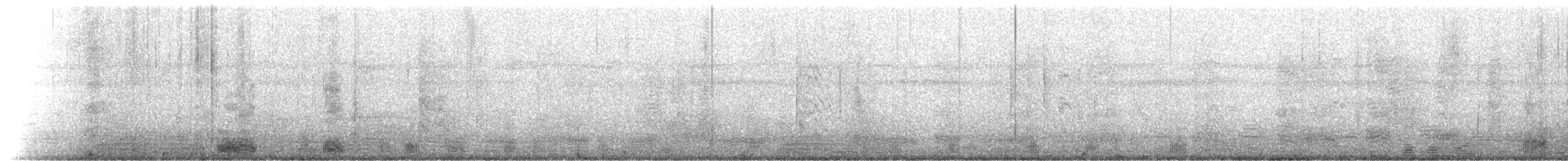 פלמינגו אמריקני - ML143567051