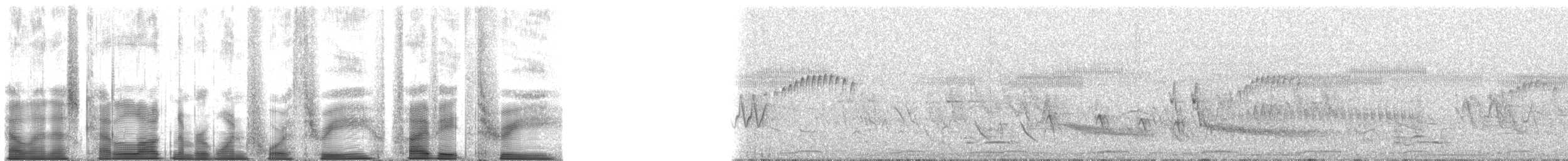 Rostflügel-Bündelnister - ML143583