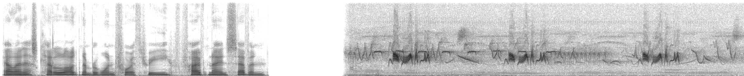 storelenia - ML143597