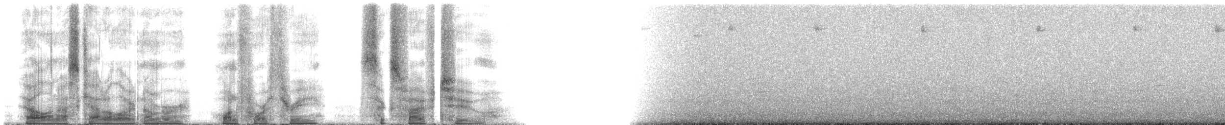 Inca violifère (osculans) - ML143652