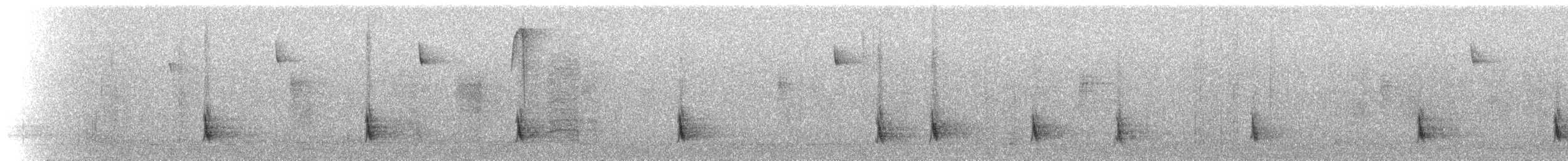 Дрізд-короткодзьоб плямистоволий - ML143770601