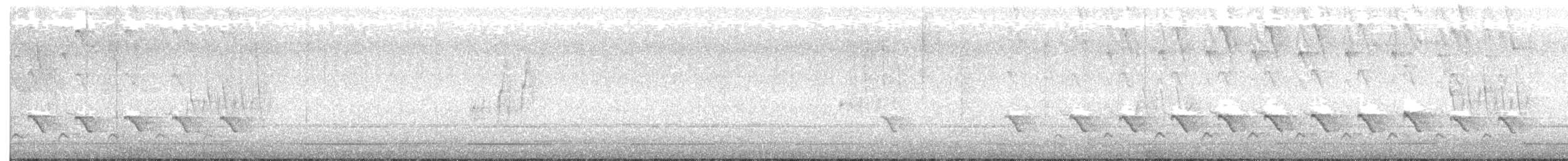 Тауї плямистий - ML143789981