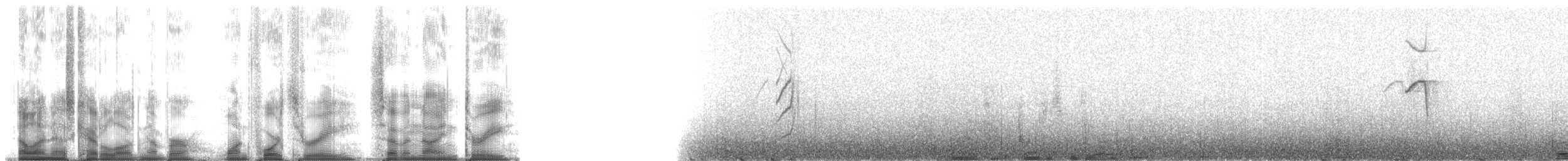 Трясохвіст бурочеревий - ML143793