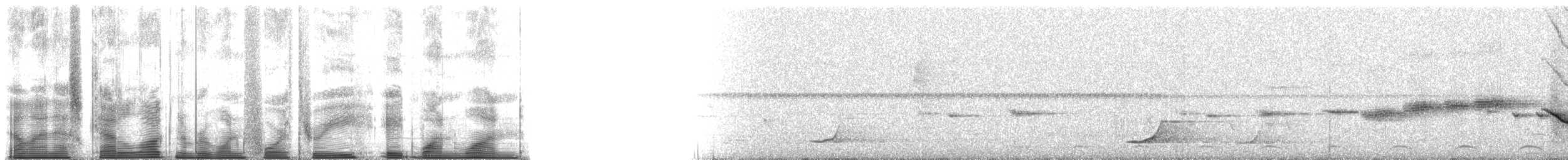 Troglodyte de Sclater (paucimaculatus) - ML143811