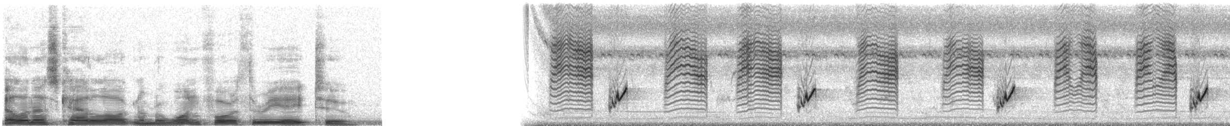 gyllengressanger - ML14382