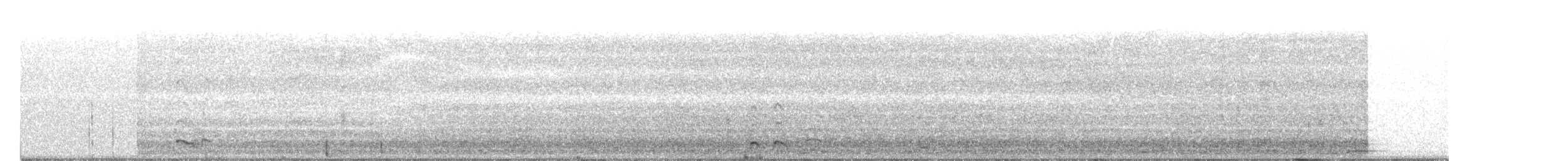 אווז לבן-מצח - ML143891781