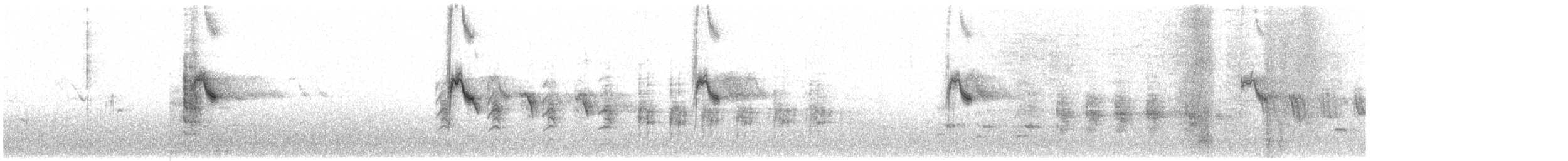 Cape Wagtail - ML143992411