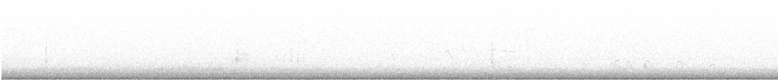 斑背潛鴨 - ML144019751