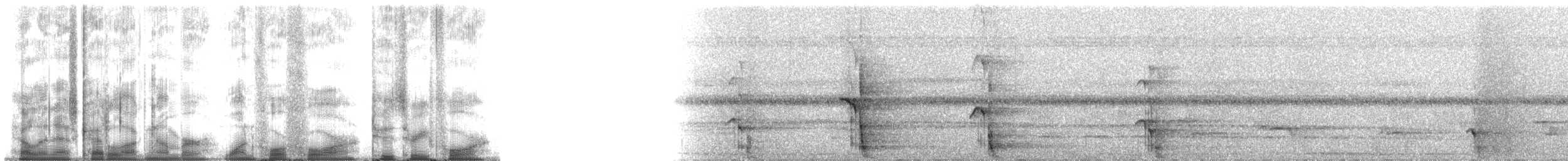 Trogón Surucuá (meridional) - ML144234