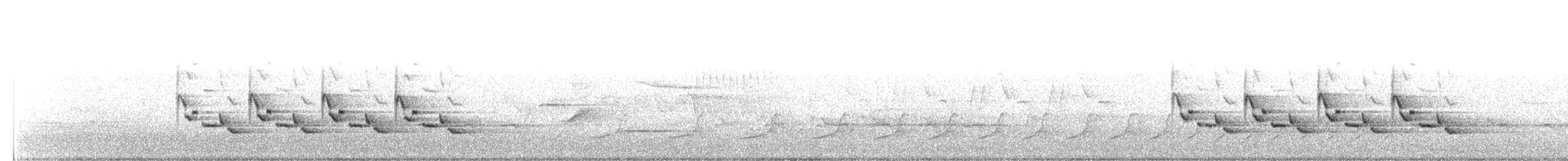 Каролинский крапивник - ML144272971