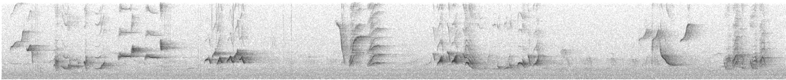 Brown Thrasher - ML144305171