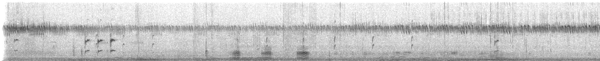 Wachtelastrild [atricollis-Gruppe] - ML144314741