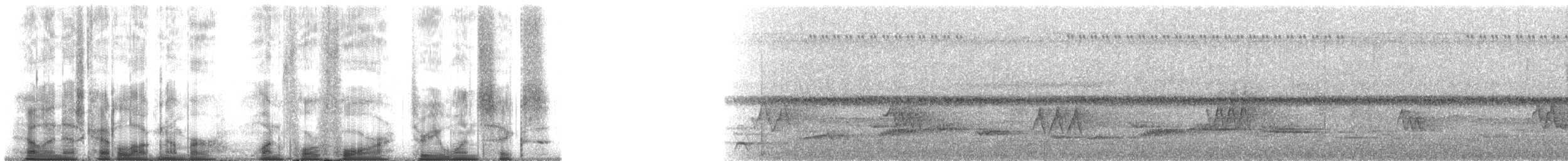 Surukua Trogonu (surrucura) - ML144316