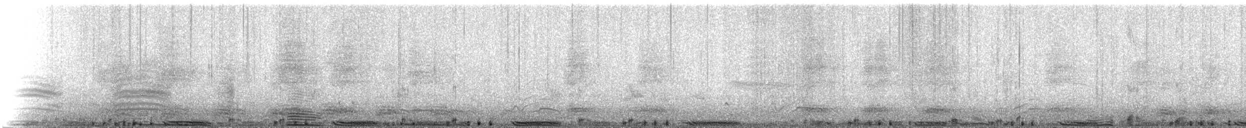 holub skalní (domácí) - ML144330731